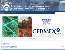 Tablet Screenshot of cedmex.org